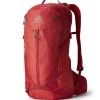 Gregory Miko 15 Rucksack (sumac-red) -Outdoor Ausrüstung Gregory Miko 15 Rucksack sumac red D 145274 9973 Bild 1
