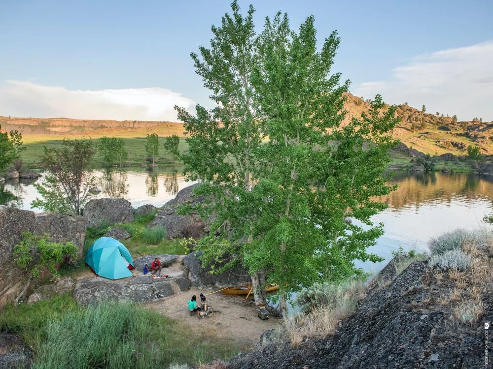 MSR Habitude 4 Zelt (blue) 9 MSR Habitude 4 Zelt (blue) – Bild 7